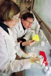 Associate director of Anthropology's Laboratory for Archealogical Chemistry, James Burton (R), works under a lab hood with graduate student Kelly Knudson (L) while preparing a sample of pottery for chemical analysis research.