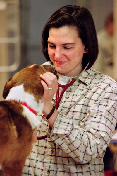 School of Veterinary Medicine third year student Marie Creed working with area humane society animals.