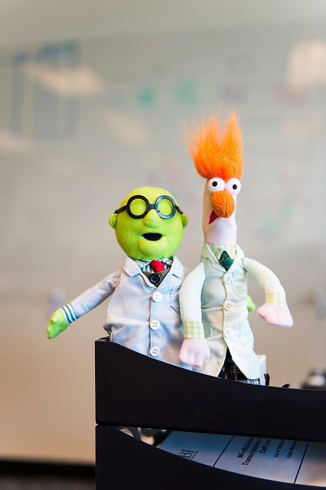 Muppets in lab coats